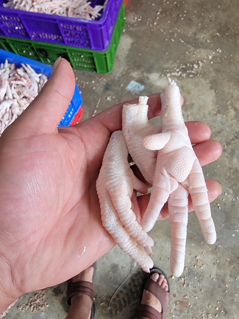 去骨鸡爪，手剥笋，虎皮鸡爪