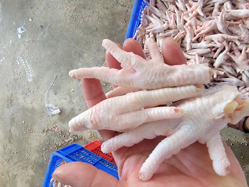 去骨鸡爪，手剥笋，虎皮鸡爪