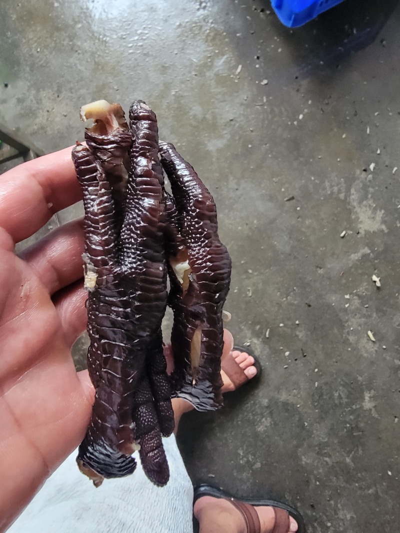 去骨鸡爪，手剥笋，虎皮鸡爪