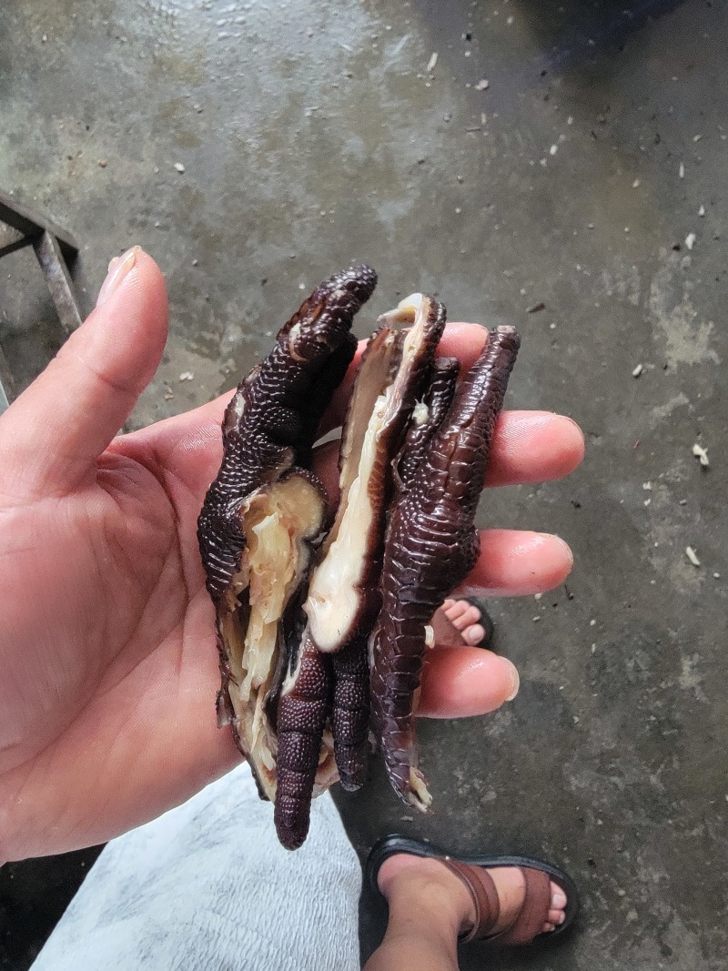 去骨鸡爪，手剥笋，虎皮鸡爪