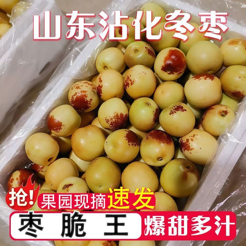 正宗沾化冬枣脆甜爽口价格实惠量大从优