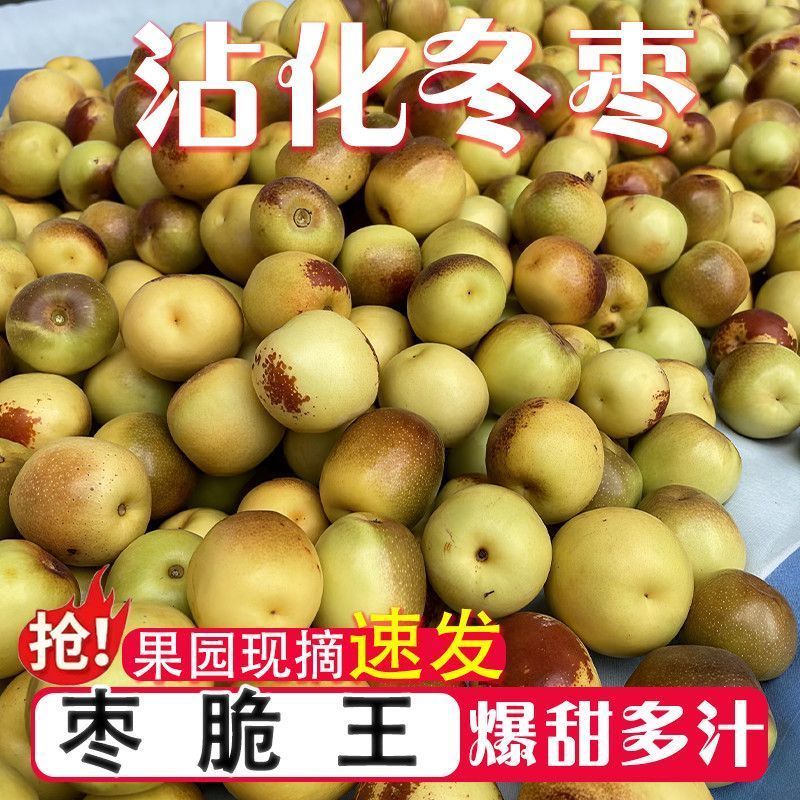 正宗沾化冬枣脆甜爽口价格实惠量大从优