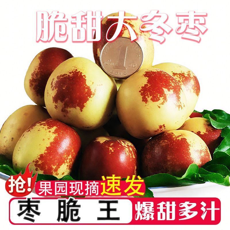 正宗沾化冬枣脆甜爽口价格实惠量大从优