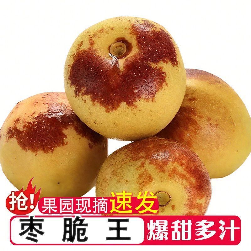 正宗沾化冬枣脆甜爽口价格实惠量大从优