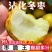 正宗沾化冬枣脆甜爽口价格实惠量大从优