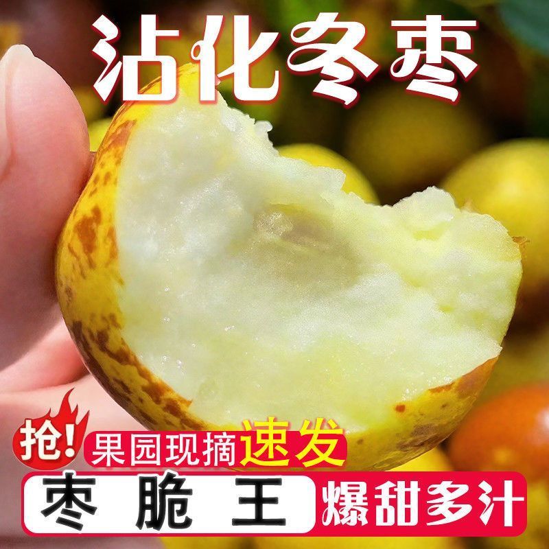 正宗沾化冬枣脆甜爽口价格实惠量大从优