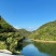 高山核桃
