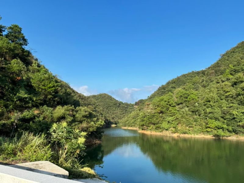 高山核桃