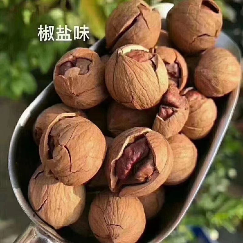 高山核桃