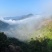 高山核桃