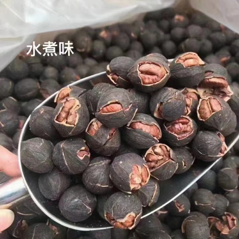 高山核桃