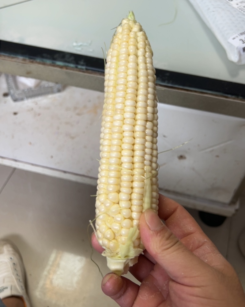 玉米