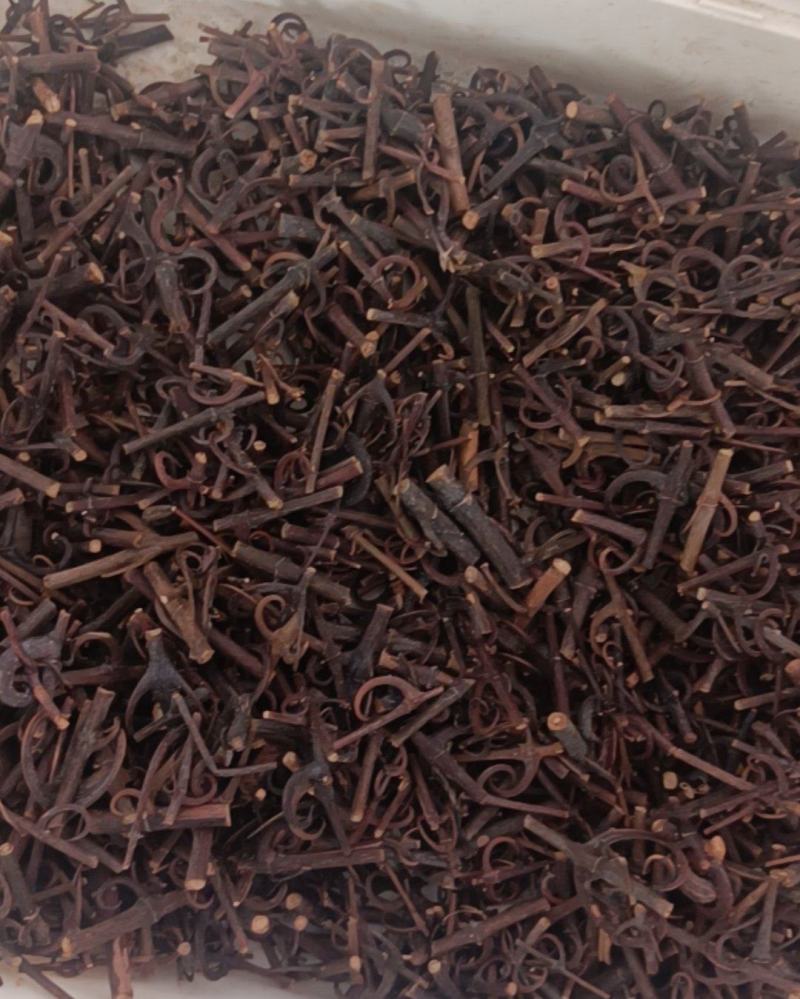 钩藤纯钩