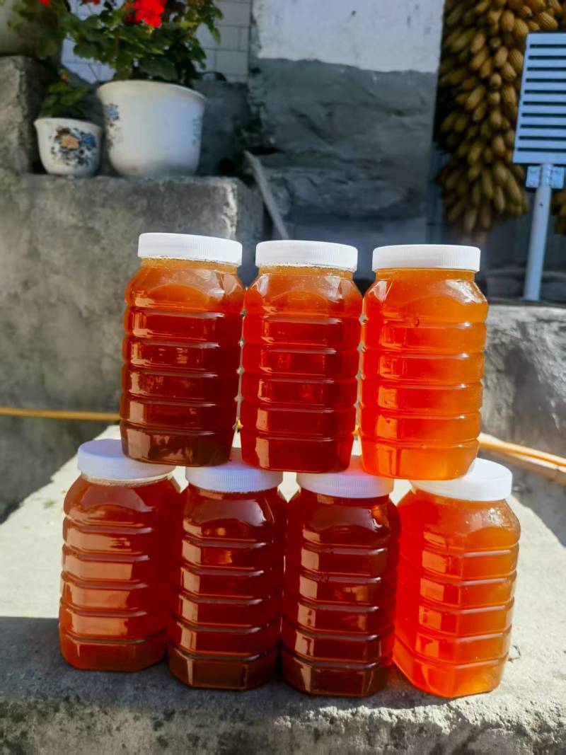 甘肃正宗土蜂蜜