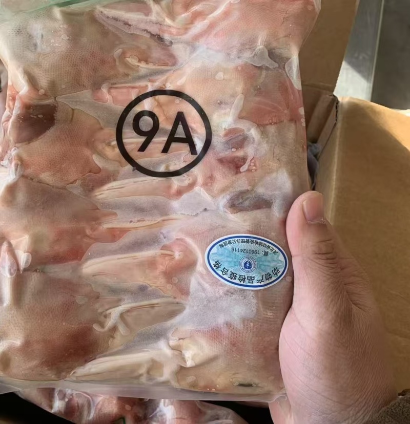 鸭9a，有10多吨