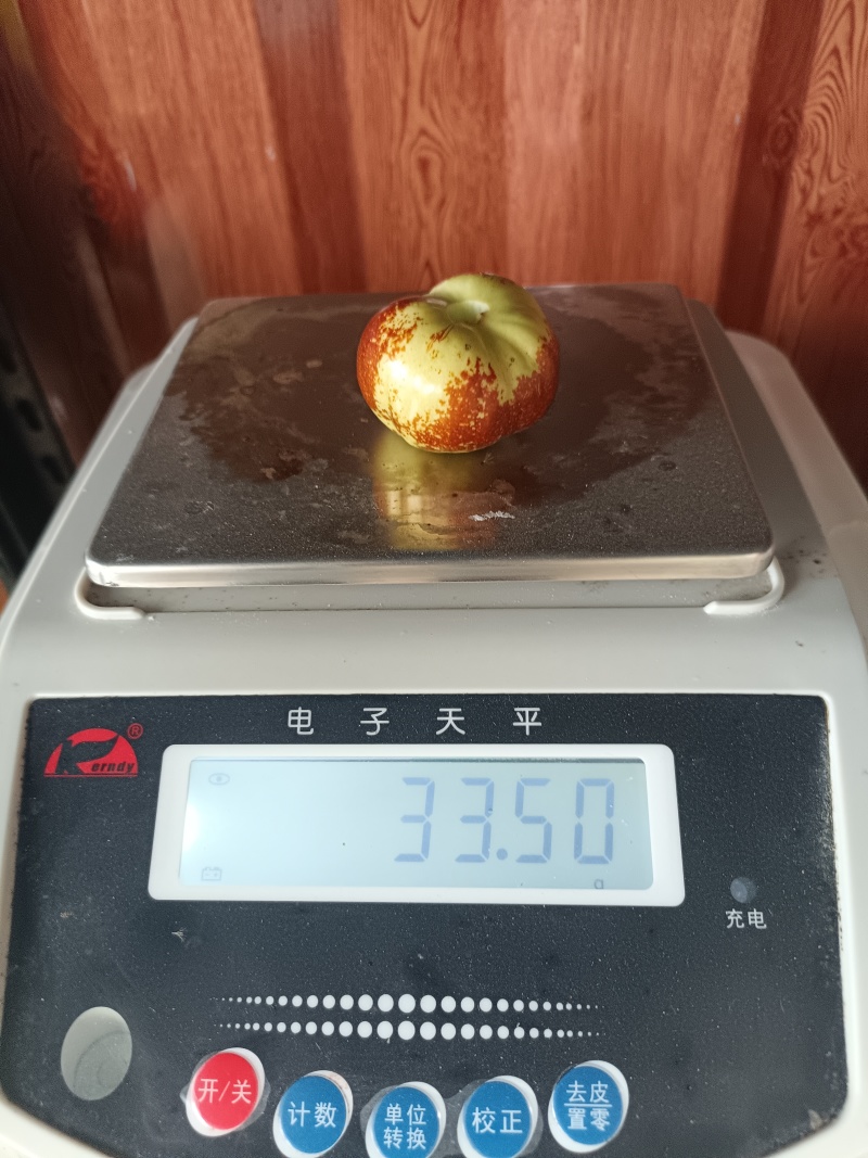莘县潘枣