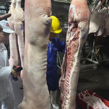 一级猪肉白条