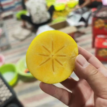 广西恭城香甜脆柿大量出货
