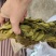 盐酸菜