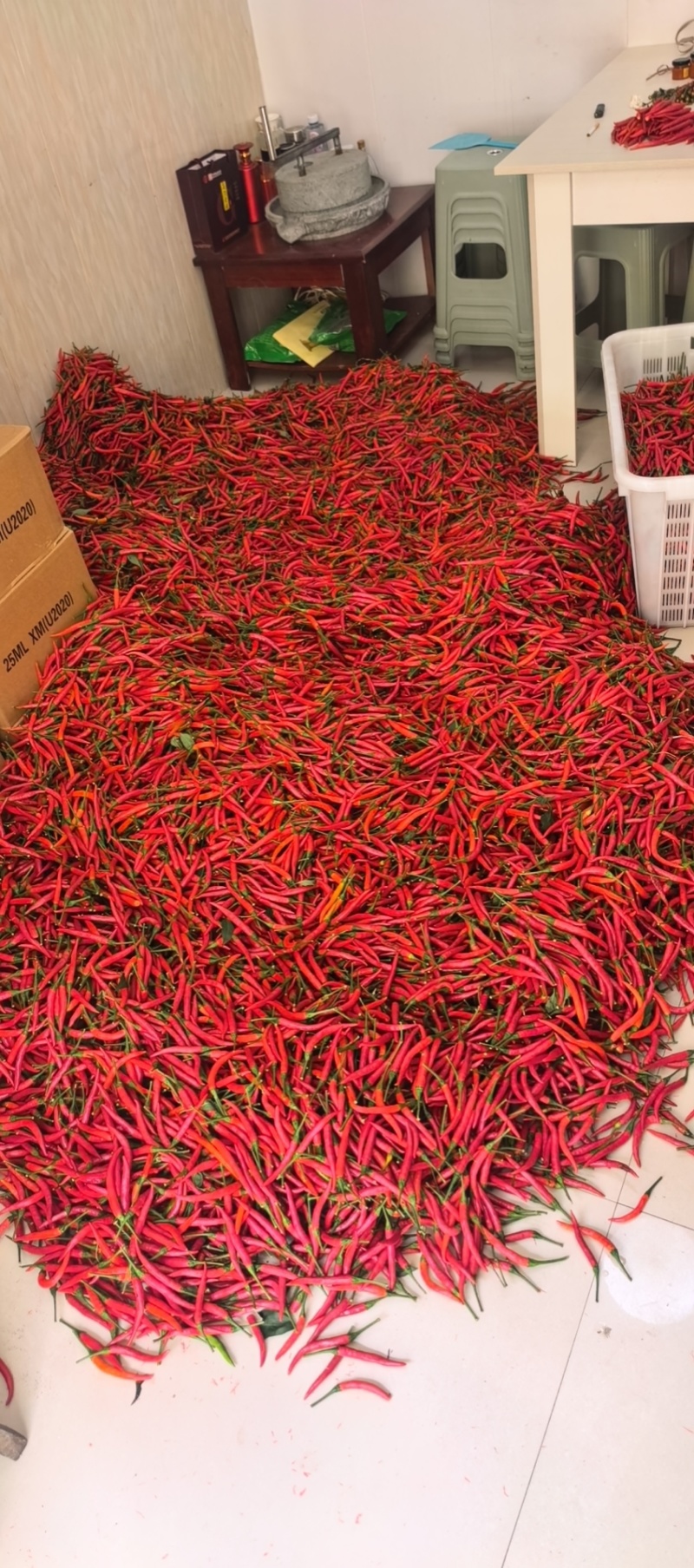 小米辣