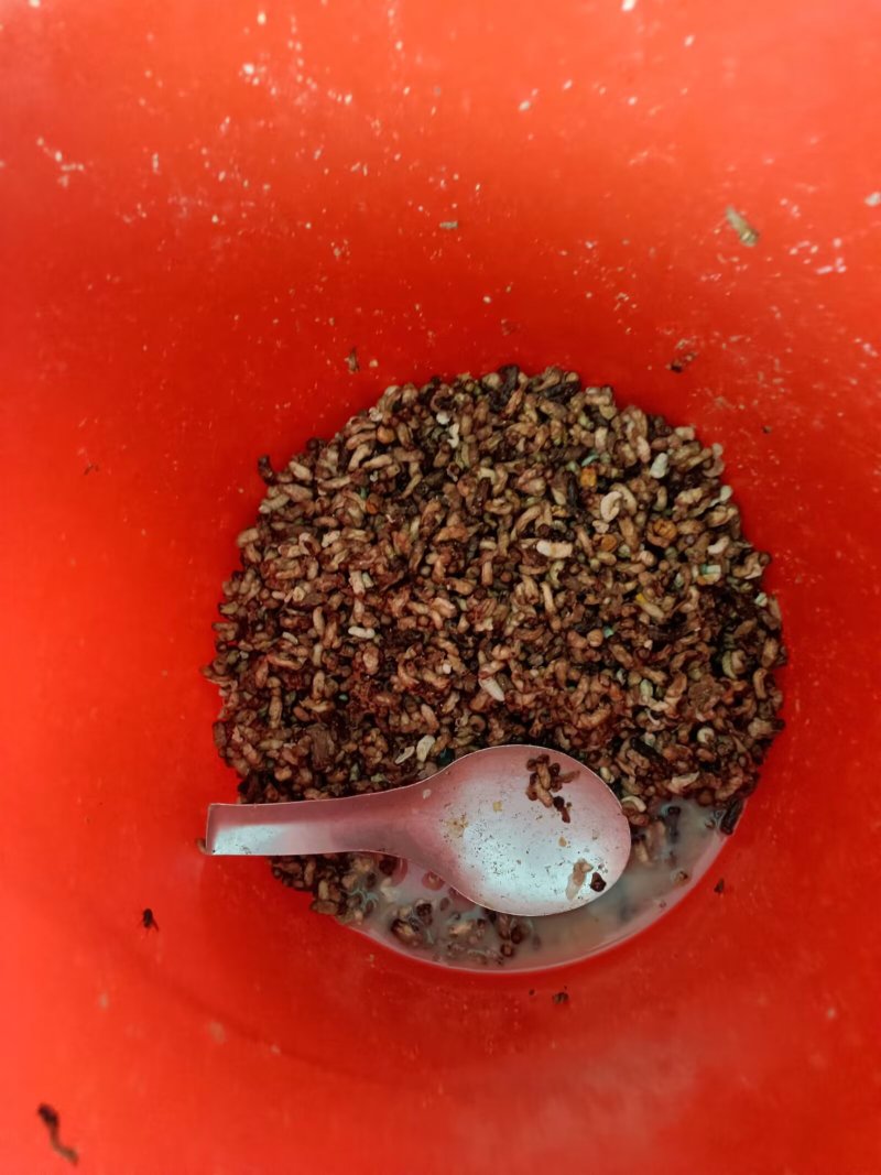 自家跑山找的纯野生蜂蜜，假一赔十