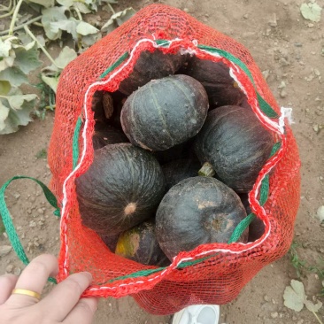 六两以上口感好品相优
