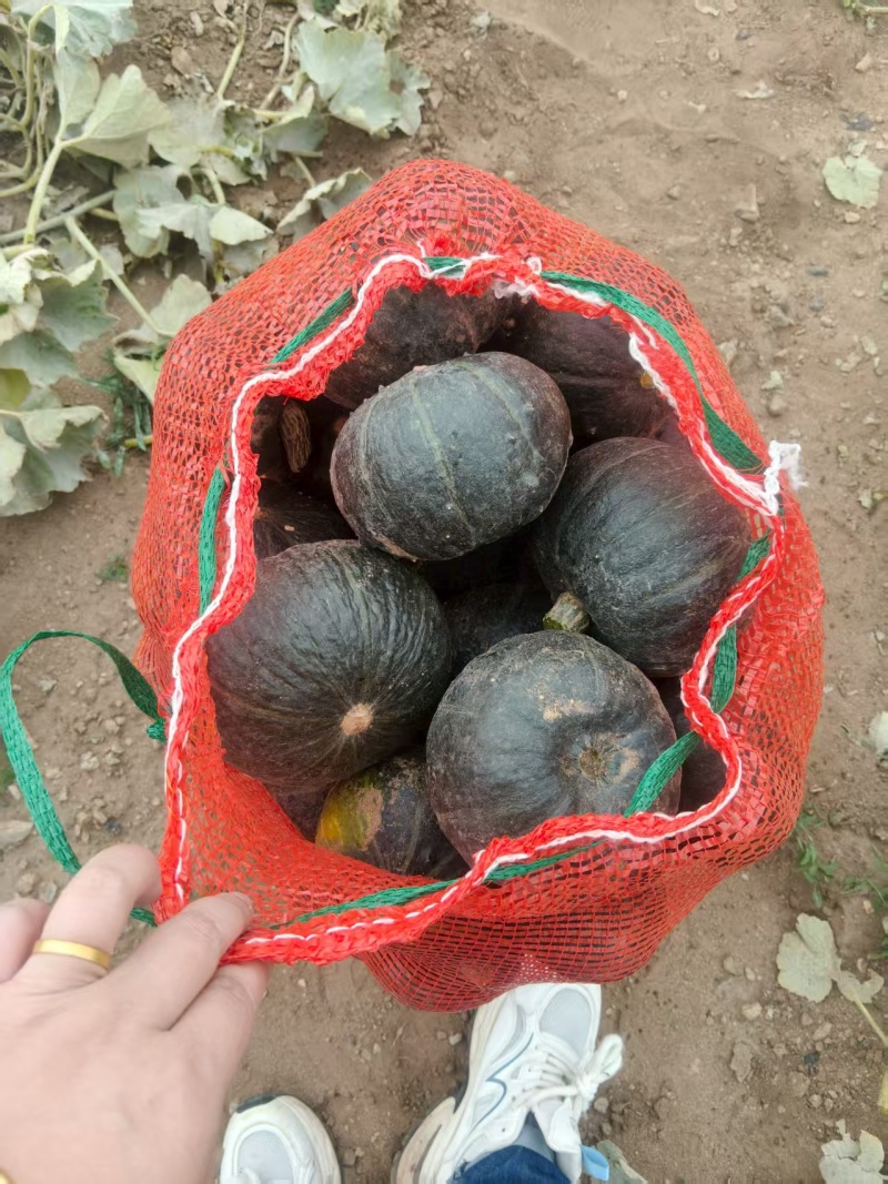 六两以上口感好品相优