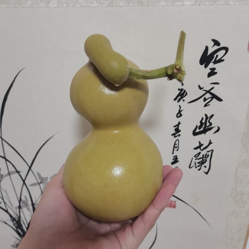大葫芦