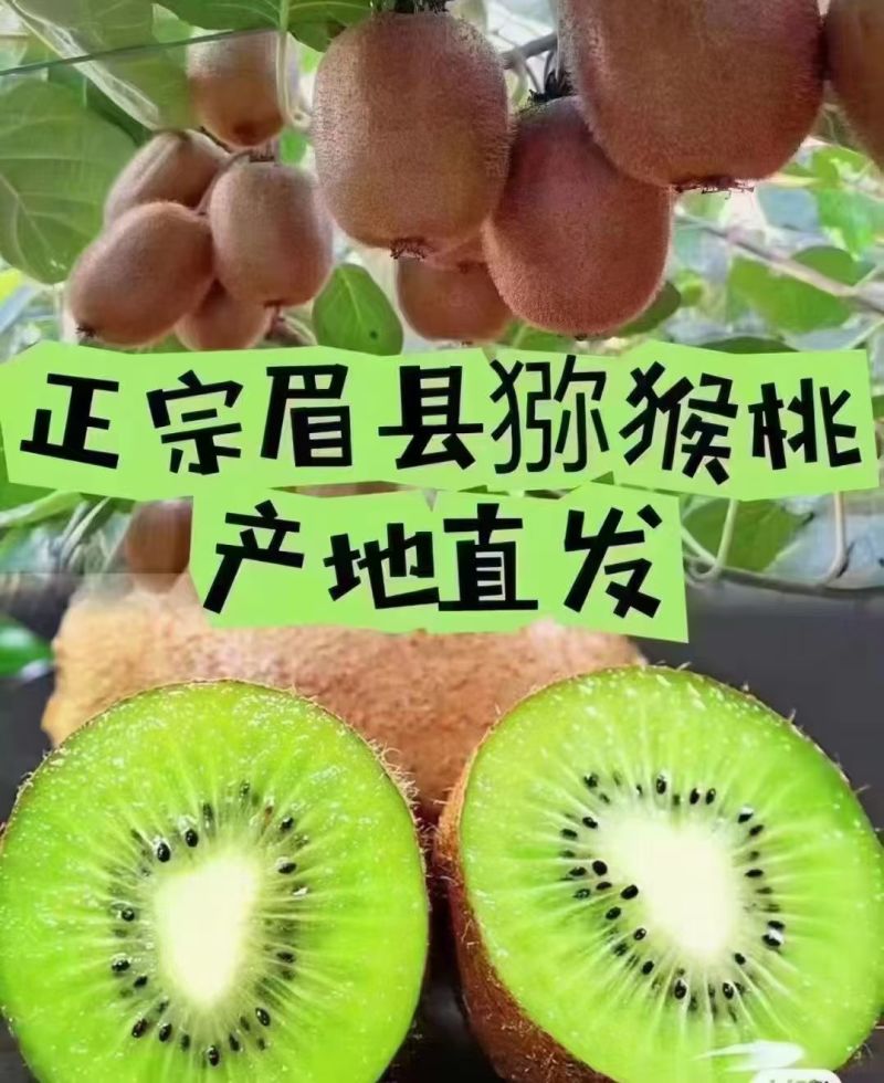 陕西眉县徐香绿心猕猴桃