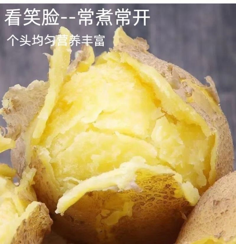 定西土豆