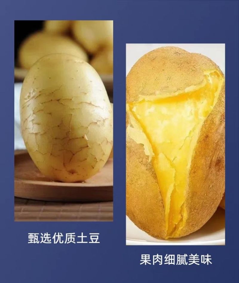 定西土豆