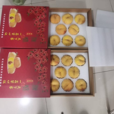 四两起