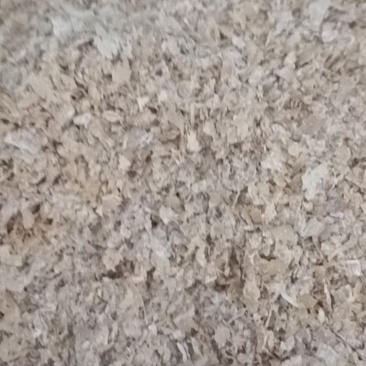 小麦麸