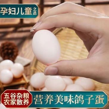 鸽子蛋