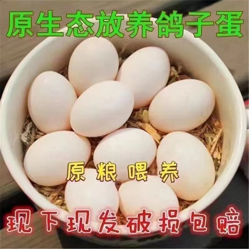 鸽子蛋