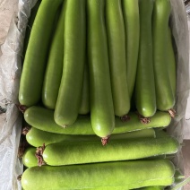 新开园新品种精品瓠瓜，大小泡沫箱袋装都有