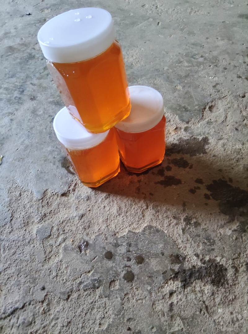 卖蜂蜜真正宗的土蜂蜜
