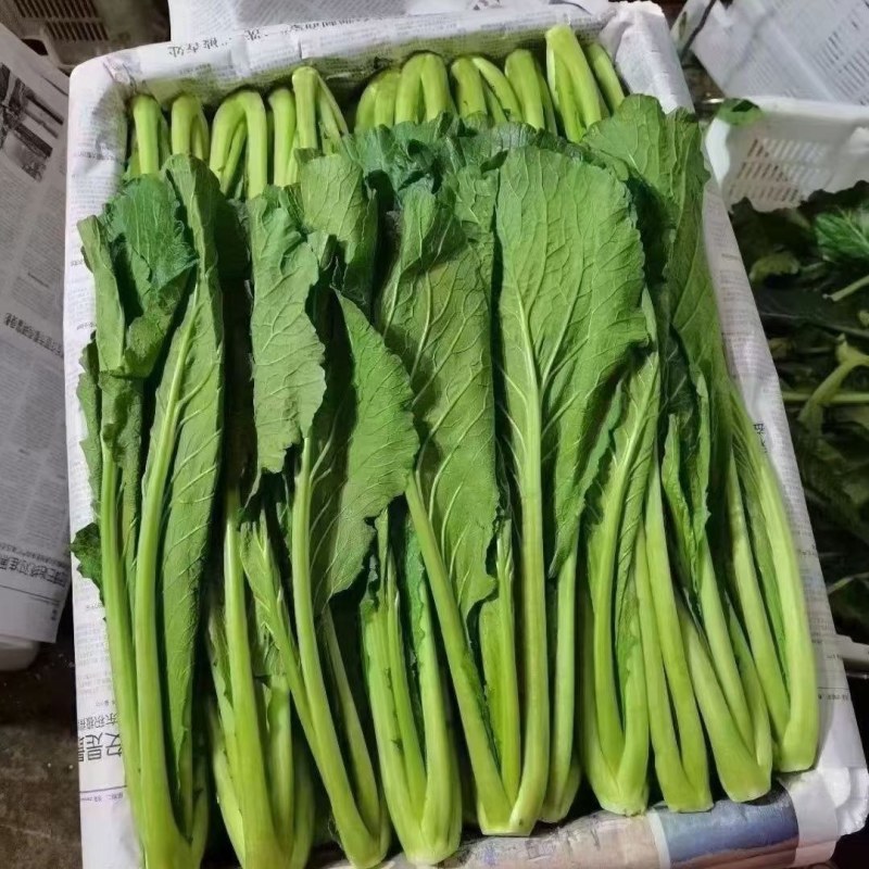 大理水腌菜