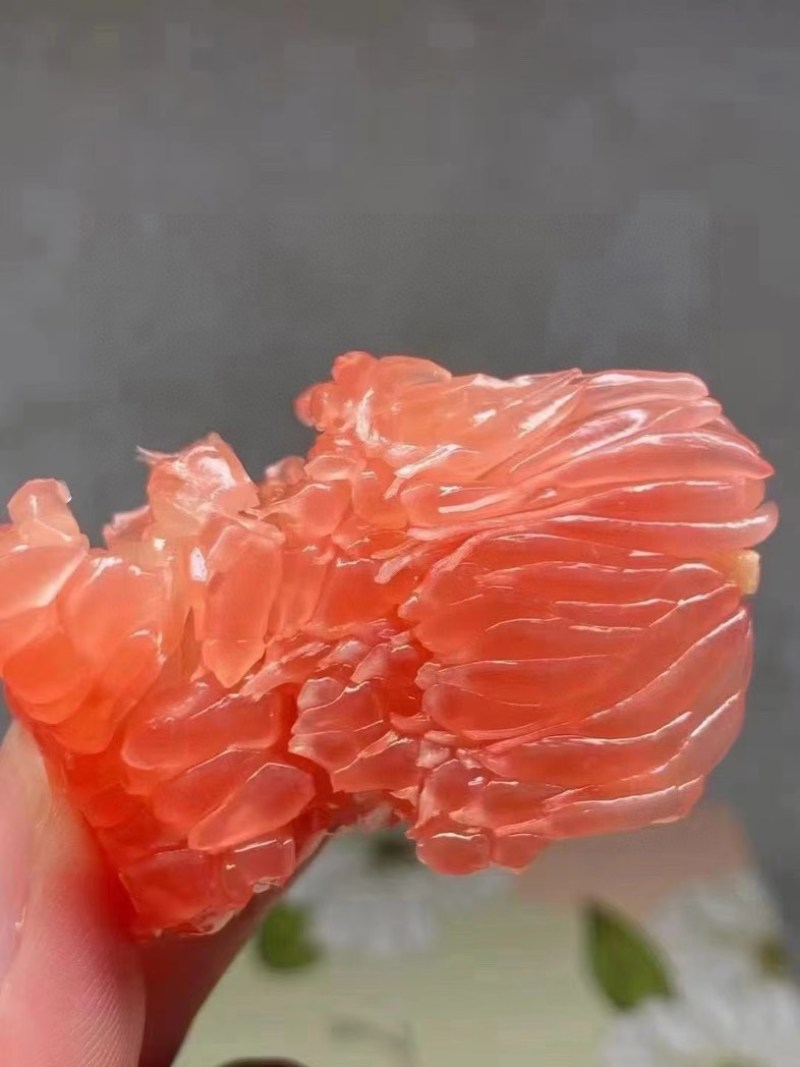 蜜柚