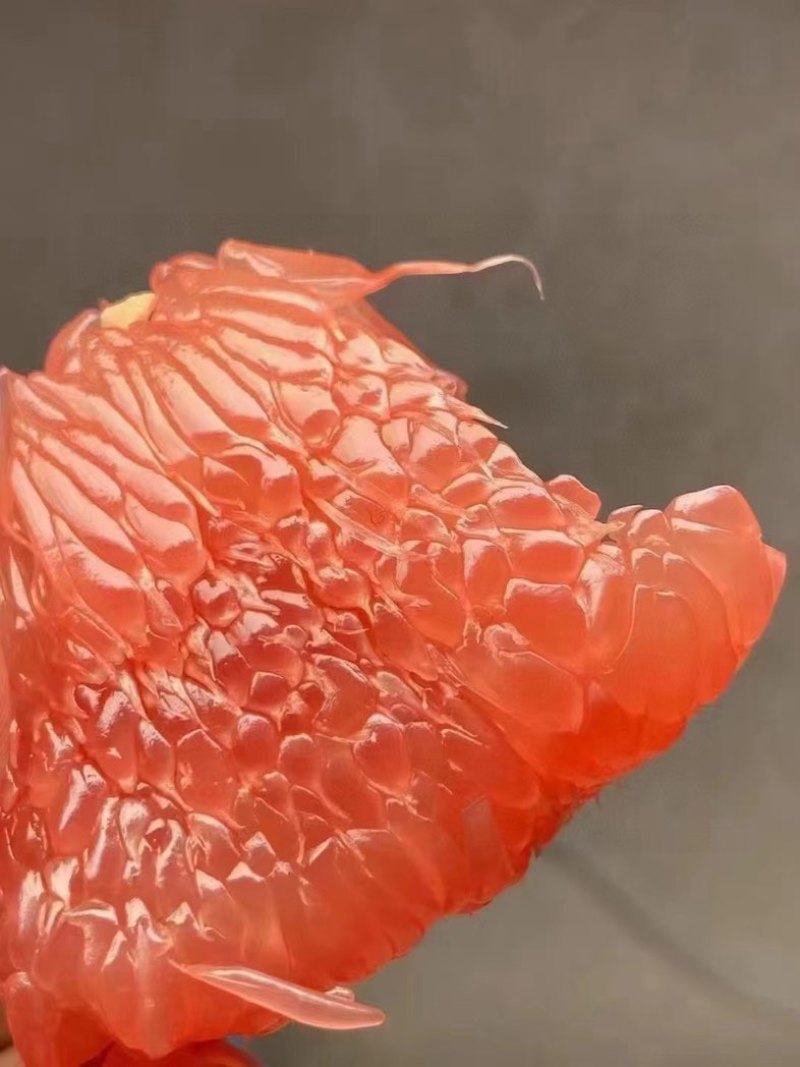 蜜柚