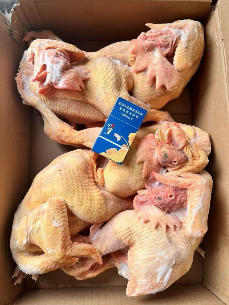 黄脚公鸡5只(10.5kg)