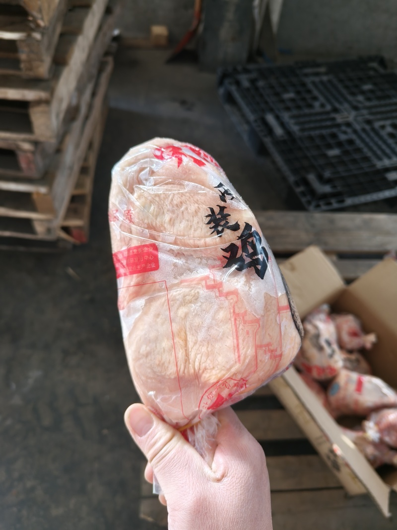 西装鸡12只