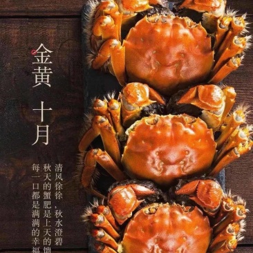 大闸蟹