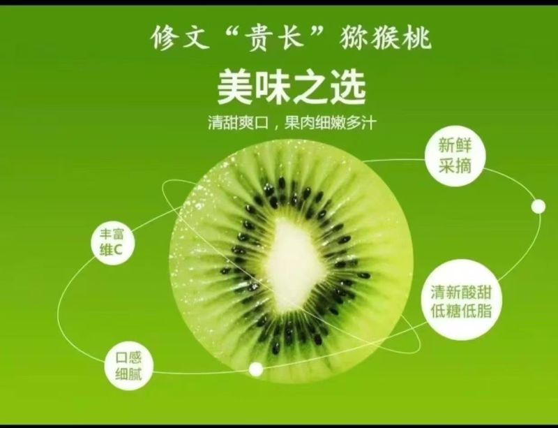 修文贵长猕猴桃