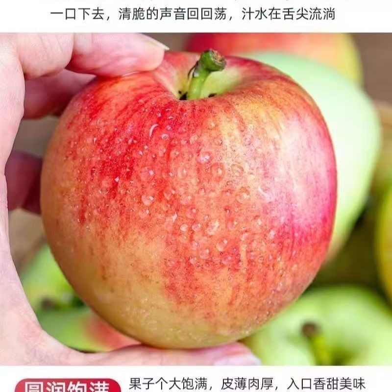苹果