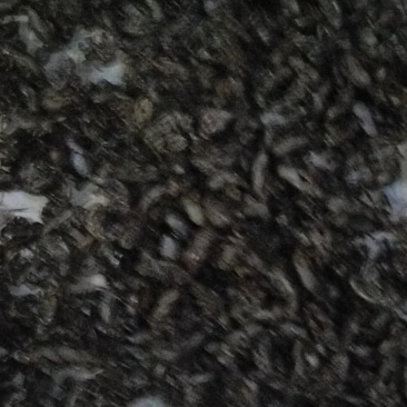 金蝉合