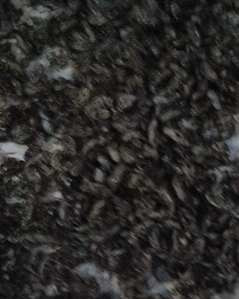 金蝉合