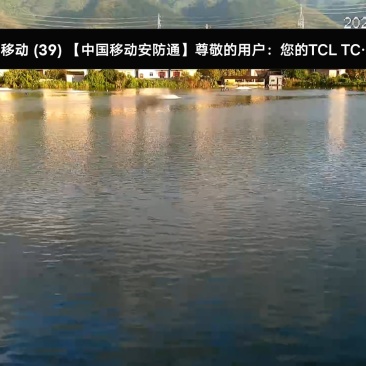 2~3斤草鱼