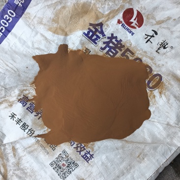 海金沙的沙