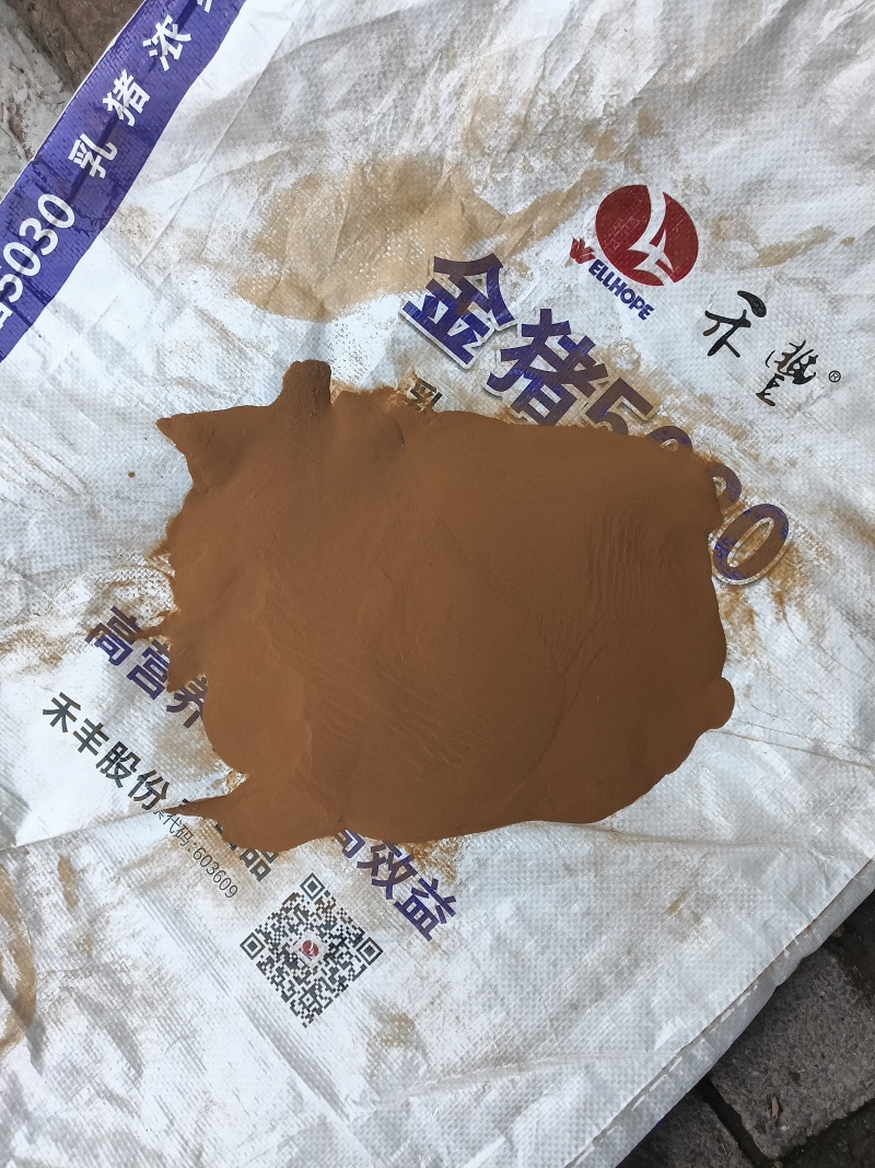 海金沙的沙